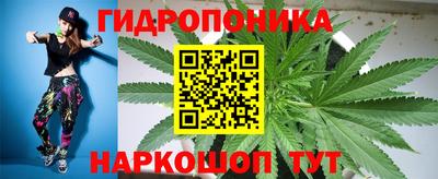 гидра Шебекино