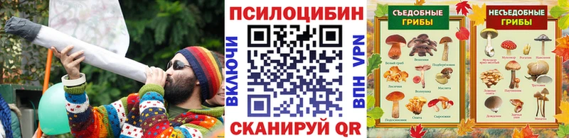 Галлюциногенные грибы Cubensis  купить закладку  Пермь 